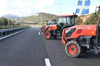agrotes bloka
